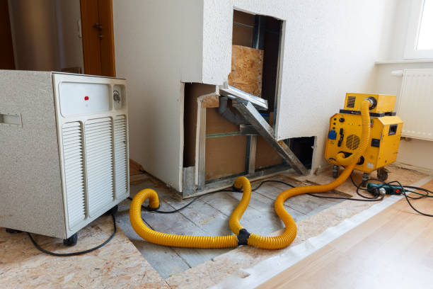 Best Environmental Consulting for Mold Prevention  in Santa Barbara, CA